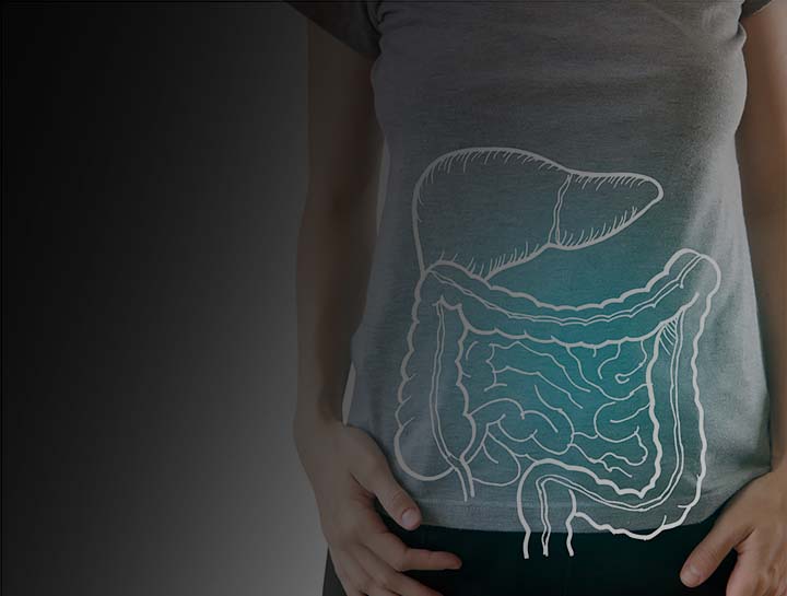 Digestion